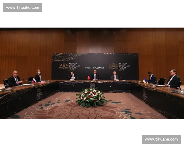 美国与土耳其关系新动态解析及地缘政治影响深度观察